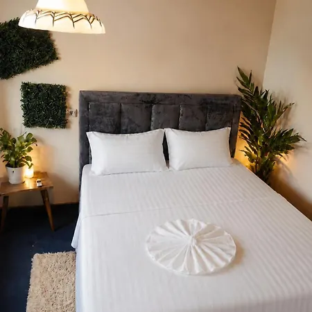 Rozafa -cozy & Traditional